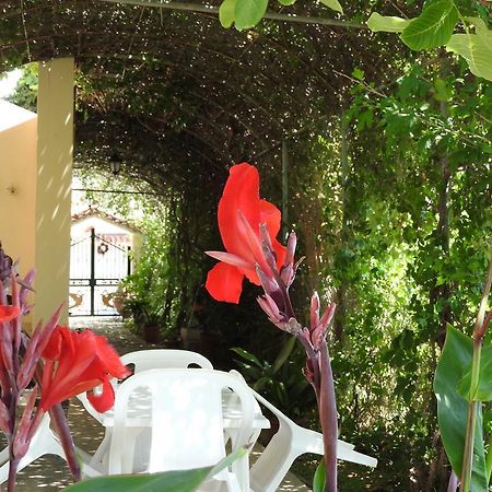 Skala Eresos Paradise Studios Σκάλα Ερεσού Εξωτερικό φωτογραφία