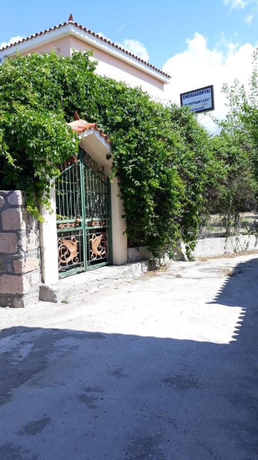 Skala Eresos Paradise Studios Σκάλα Ερεσού Εξωτερικό φωτογραφία