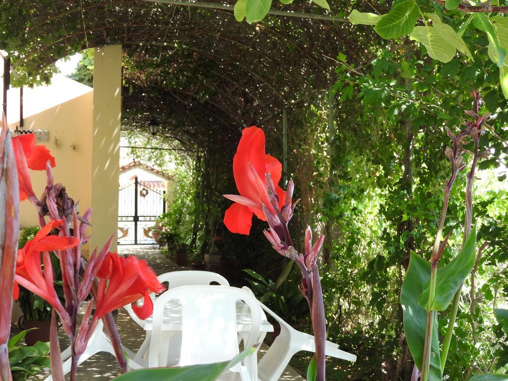 Skala Eresos Paradise Studios Σκάλα Ερεσού Εξωτερικό φωτογραφία